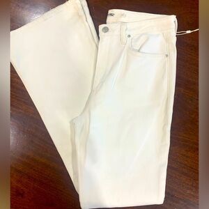 NWT! AGOLDE LA “Riley” Button Fly High Rise Straight Leg Crop White 29